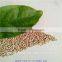 high quality perilla seed on hot sale