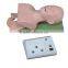 Advanced multi functional airway management model