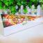 Custom Logo Printed Triangle Shape Frozen Pizza Box Printing