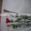 Most Popular Factory Direct Fresh Flower Carnation
