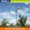 All in one solar garden light
