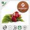 High Quality Best Price Organic Raspberry Fruit Powder