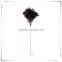 2016 Professional cleaning supply Extendable Ostrich feather duster office workplace