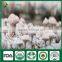 China Supplier of High Yield Shiitake Spawn Culture for Sale