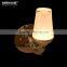 Modern LED Wall Lamp for Home Decoration MD81266