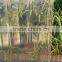 Transparent roof tile