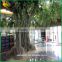 Good quality and price artificial banyan tree fiberglass artificial big ficus tree