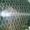 green/ black pvc coated small hole chicken wire mesh