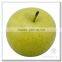 Flora Bunda Market Decorative Apple Fruit