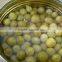 High quality canned green peas -Factory supply