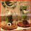 Made in China Wholesale Price Protect Item Decoration Glass Dome with Wood base