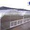 plastic film greenhouse Polyethylene film multi span agriculture greenhouse