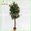 wholesale decorative artificial wooden lemon tree wood trunk