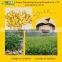 GMP Certified Manufacturer Supply Natural Ginger Extract