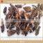 Real wild AD dried Morchella mushrooms with 2-7cm