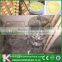 Beekeeping equipments royal jelly dirty cleaning machine on sale