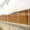 Greenhouse farm for sale 7090 evaporative cooler pad Malaysia