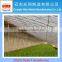 Agricultural plastic film greenhouse