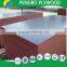 joined core film faced plywod 15mm 18mm 21mm recycle plywood