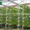 Polycarbonate Covered Greenhouse For Ecnomic Use/Agriculture Planting Greenhouse