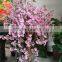Decorative garden flower trees