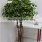 200cm Artificial Bonsai Ficus Tree,fake Banyan Bonsai Tree for Sale
