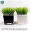Square glass vases cheap for homedecoration