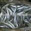 competitive price wholesale sardine