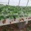 space saving vertical hydroponics