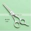 6 Inch Hair Scissors RTSS1005