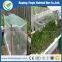 Plastic Anti Insect Net
