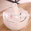 Ceramic collapsible automatic pet water feeder electricity smart fountain pet dog water bowl