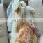 squid egg frozen giant squid roe giant squid egg 1kg 2kg