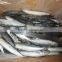 China seafood of Whole Round Scad