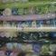 polyester cotton mixed plain dyed poplin fabric stock