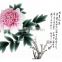 Vivid peony for modern home decor art work painting on silk base material