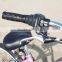 for Australia market mens 7 speed 26" beach cruiser/bike cruiser for sale (PW-B26358)