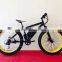 New design fat tire electric bike/ electric snow bike