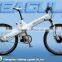 Seagull GLCity electric bicycle with pedal, brand: POWFU