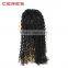 chaep human hair curly wig