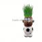 Advertising Gifts outdoor flower pots plants mini for