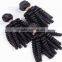 Spring curl Hot 2016 Wholesale Virgin Brazilian Hair, unprocessed 100% Human Hair Extensions weaves