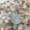 Milk-white Moss Agate Tumbled Stones for Wholesale