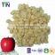 TTN 2016 Wholesale Prices Chinese Freeze Dried Apple Fruit Powder