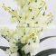 decoration artificial Yucca gloriosa flower