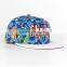 snap back hat flat brim,snap back flat brim,small order flat brim hat