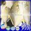 New Wholesale Seafood Whole Round Frozen Golden Pomfret/Pompano Fish