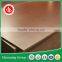 poplar plywood/poplar film faced teak plywood