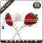 3D ODM pvc earphone promotional earphone