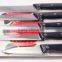 Black blister card 5pcs kitchen knife set
